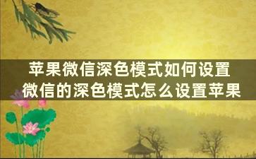 苹果微信深色模式如何设置 微信的深色模式怎么设置苹果